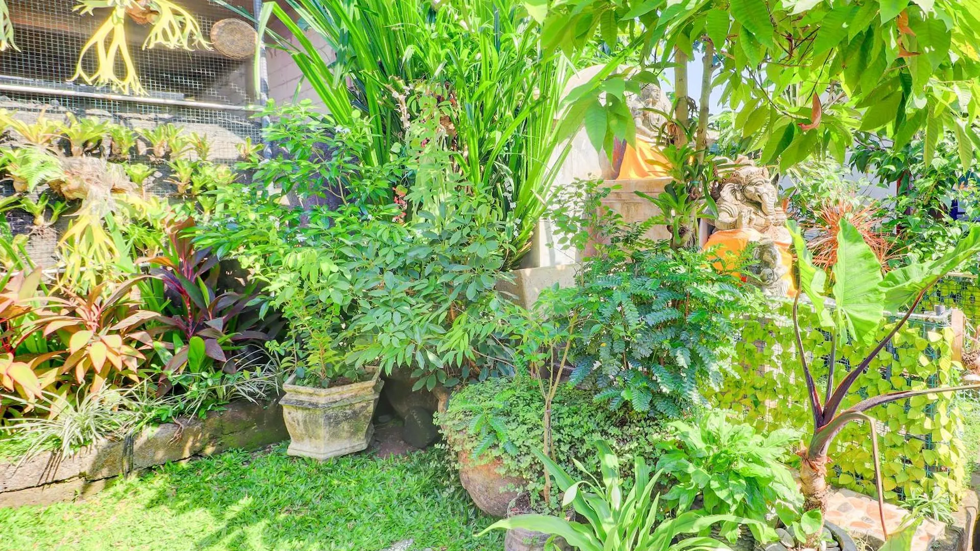 Hotel O Pondok Tulasi Hostel Near Monkey Forest Ubud  0*, Ubud (Bali) Indonesia